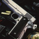Stainless Springfield Stainless Springfield