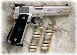 Para-Ordnance P-18-9 Para-Ordnance P-18-9