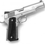Springfield TRP Stainless Springfield TRP Stainless