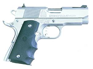 Springfield V-10 Springfield V-10