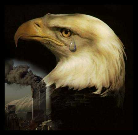 WTC Eagle Tear WTC Eagle Tear