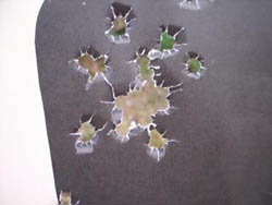 Kimber Pro Carry II Target Kimber Pro Carry II Target