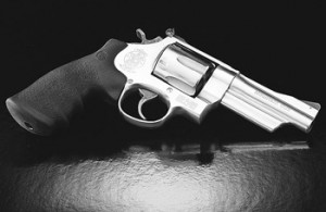 Smith & Wesson 625 Mountain Gun Smith & Wesson 625 Mountain Gun