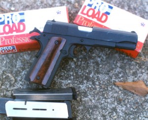 With Pro Load ammunition and Wilson Combat magazines, this one is a good performer With Pro Load ammunition and Wilson Combat magazines, this one is a good performer