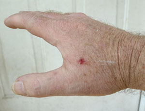 Rock Island Armory M1911A1 Hammer Bite Rock Island Armory M1911A1 Hammer Bite