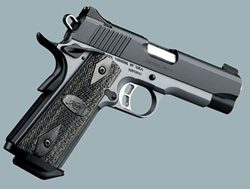 Kimber Pro Carry II Kimber Pro Carry II