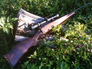 Savage Model 110 in .243 Winchester Savage Model 110 in .243 Winchester